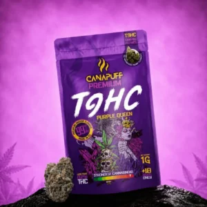 Canapuff Premium T9HC Purple Queen 1 g